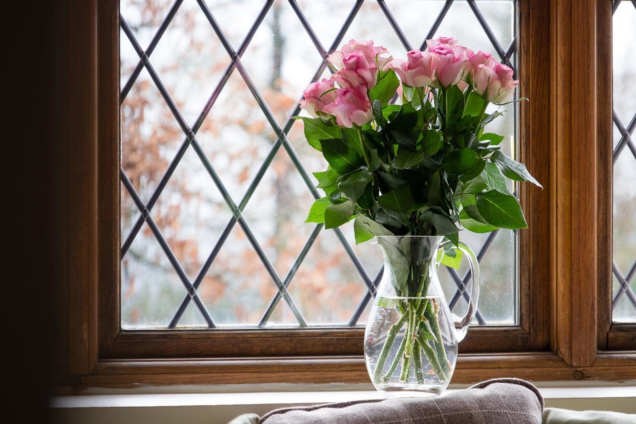 The Graig Bed&Breakfast Ludlow Farden Exterior foto